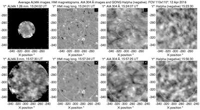 The quiet sun at mm wavelengths as seen by ALMA